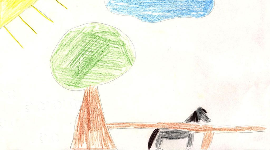 Bild 14