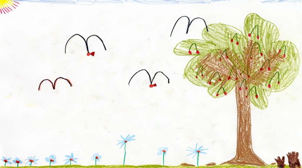 Bild 27