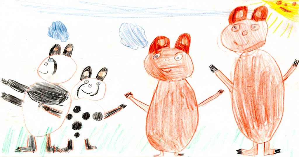 Bild 31